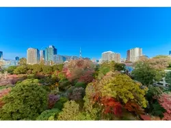 【東京都/港区三田】三田綱町パークマンション 眺望