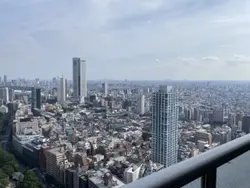 【東京都/新宿区西新宿】コンシェリア西新宿タワーズウエスト 眺望