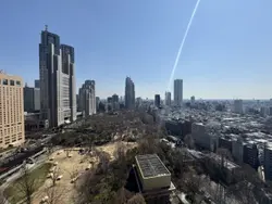 【東京都/新宿区西新宿】セントラルパークタワー ラ・トゥール新宿 24階 眺望