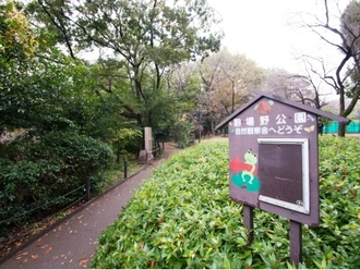駒場野公園