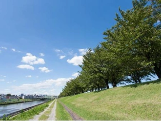 荒川赤羽桜堤緑地