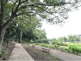 石神井公園