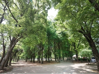 芦花恒春園