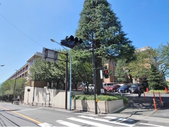 聖母病院