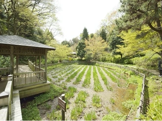生田緑地