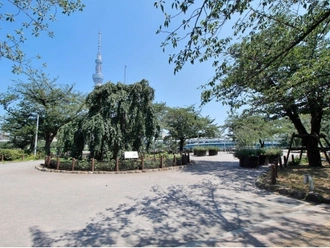 隅田公園