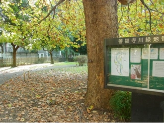 善福寺川緑地