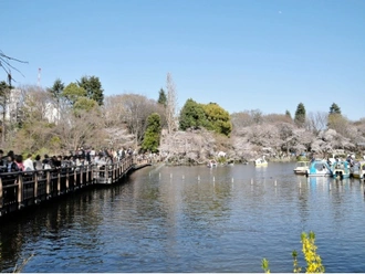 井の頭恩賜公園