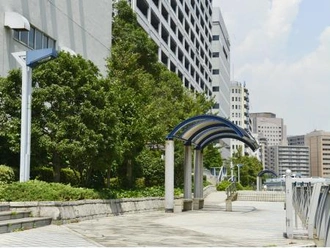 芝浦西運河沿緑地