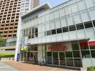 大丸ピーコック芝浦アイランド店