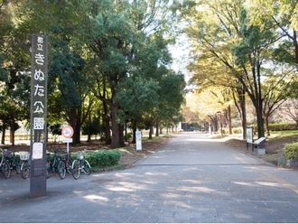 砧公園
