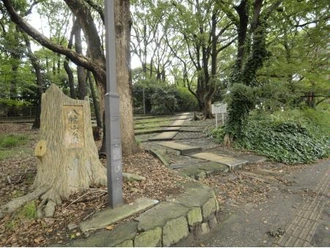 八幡山公園