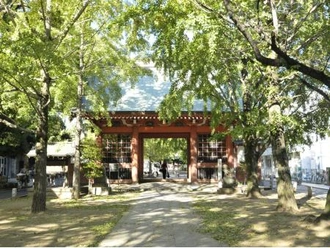 葛飾八幡宮