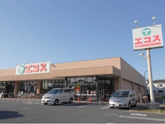 エコス市川島尻店