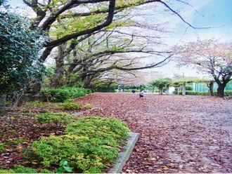 柴崎公園