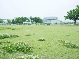 豊洲公園