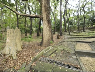 八幡山公園