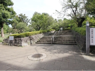 羽根木公園 