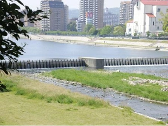 武庫川河川敷