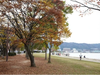 大津湖岸なぎさ公園打出の森