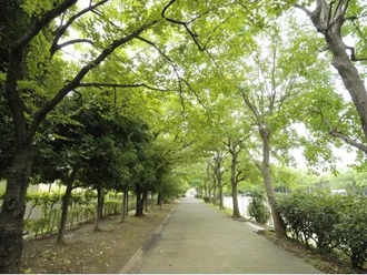 夏の雲公園