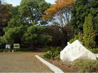 柏の葉公園