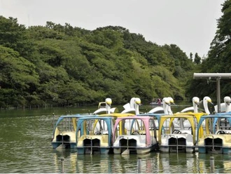 井の頭恩賜公園