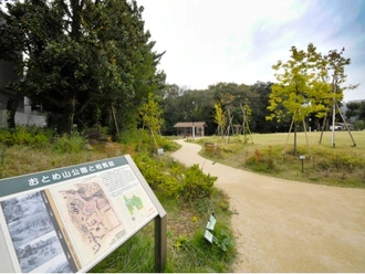 おとめ山公園