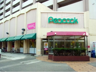 大丸ピーコック目白店