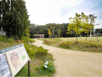おとめ山公園