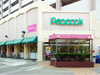 大丸ピーコック目白店