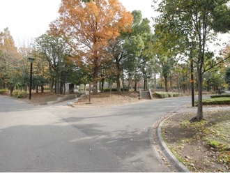 木場公園