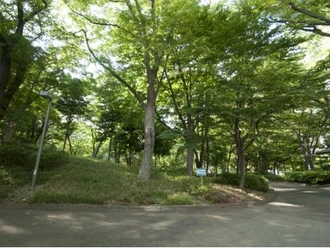 新宿中央公園