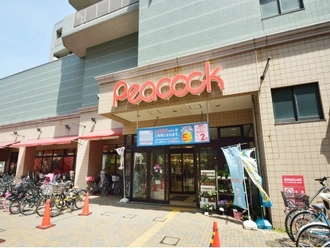 大丸ピーコック石川台店