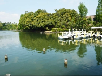 洗足池公園