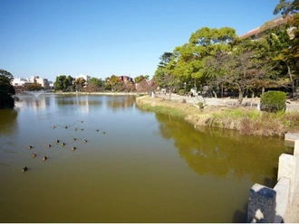 万代池公園