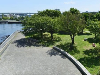 東雲水辺公園