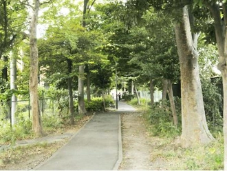 平間緑道緑地
