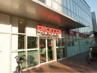 大丸ピーコック芝浦アイランド店