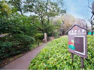 駒場野公園