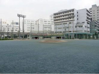 埠頭公園
