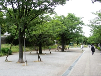 入新井西公園