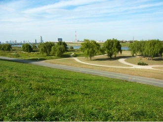 荒川右岸新田緑地