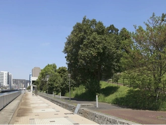 潮見運動公園