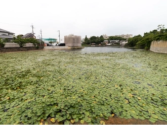 青池公園