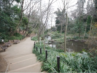 おとめ山公園