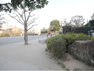 北沢公園