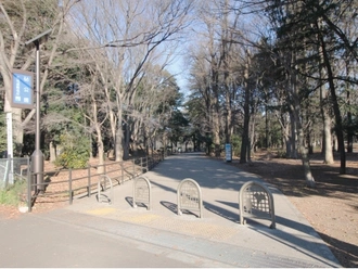 砧公園