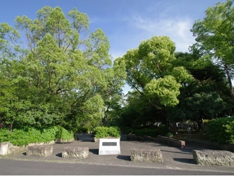 新林池公園