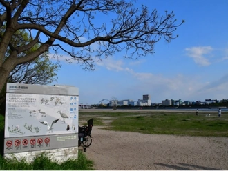 御前浜公園